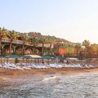 senza the garden beach club hv-1