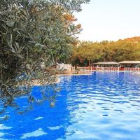 senza garden holiday club hv-1