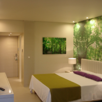 eden roc resort hotel & bungalows