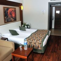 viking park hotel 4 *