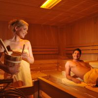 viking park hotel 4 *