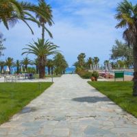 kassandra palace hotel & spa 5*
