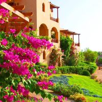 sultan bay el gouna