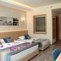 smart voxx resort