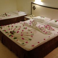 side aventus hotel 4 *