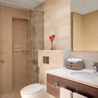 avani palm view dubai hotel & suites