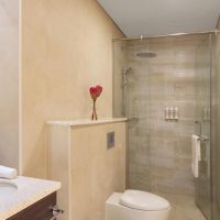 avani palm view dubai hotel & suites