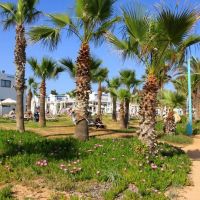 fun&sun family callisto village