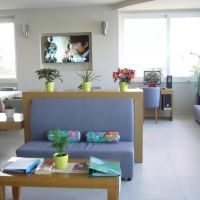 rhodian rose hotel 3 *