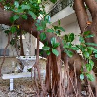 filorian hotel apartments
