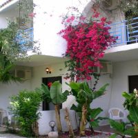 oasis hotel bungalows