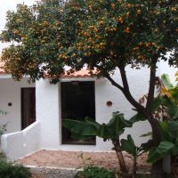 oasis hotel bungalows