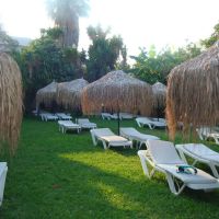 oasis hotel bungalows