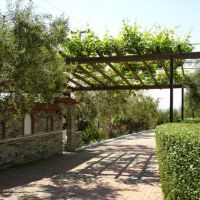 asteris village