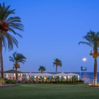 rodos palladium