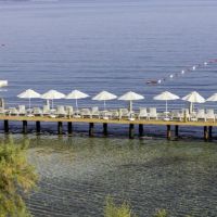 blue dreams resort