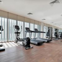 millennium executive apartments montrose