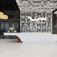 adagio premium the palm