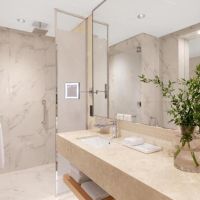 adagio premium the palm