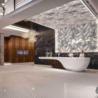 adagio premium the palm