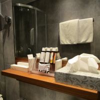 adrian hotel