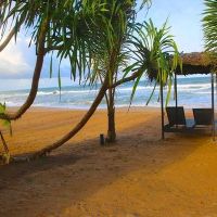 jlh beach (ex. whispering palms)