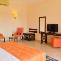 viva blue resort soma bay