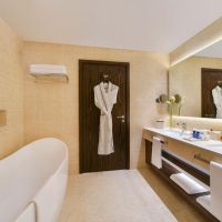 sofitel dubai the obelisk 5 *