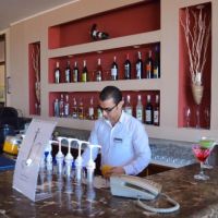 viva blue resort soma bay